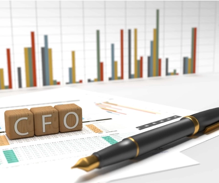 CFO Services 1 CFO Services