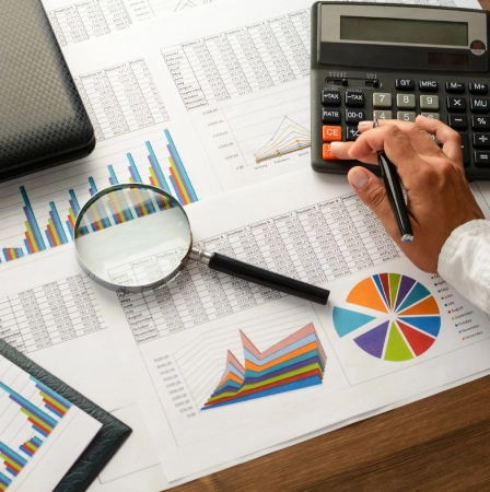 Due Diligence Services 1 Due Diligence Services