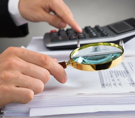 Fraud Assessment Services